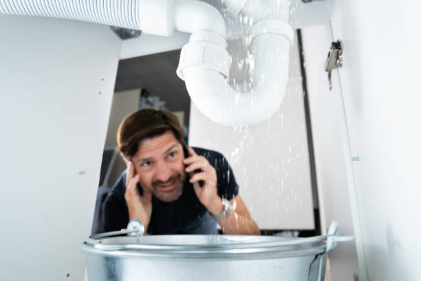 Best Local Plumber Services  in Manchester, MO
