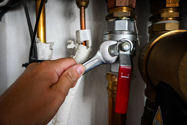 Best Local Plumber Services  in Manchester, MO